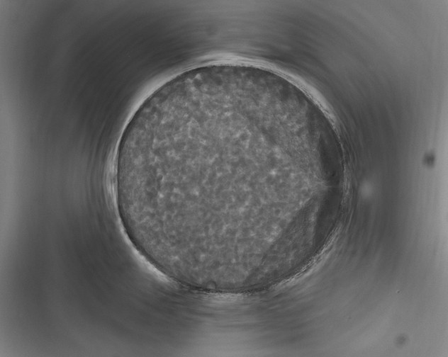X0000116851247201001121213