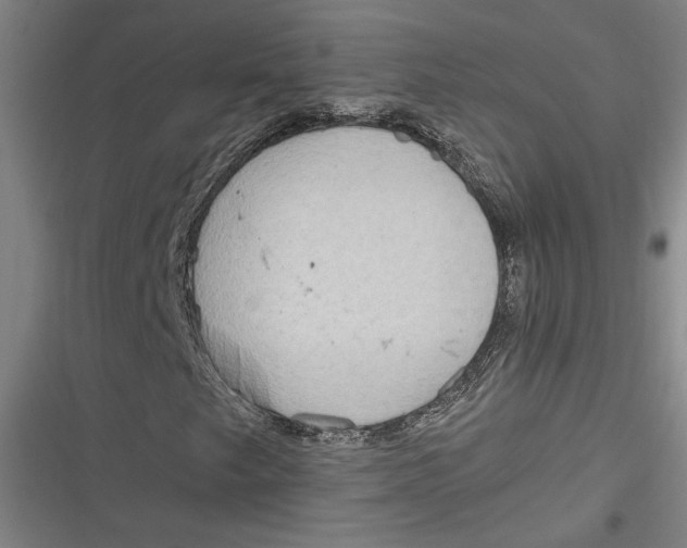 X0000116851249201001121212