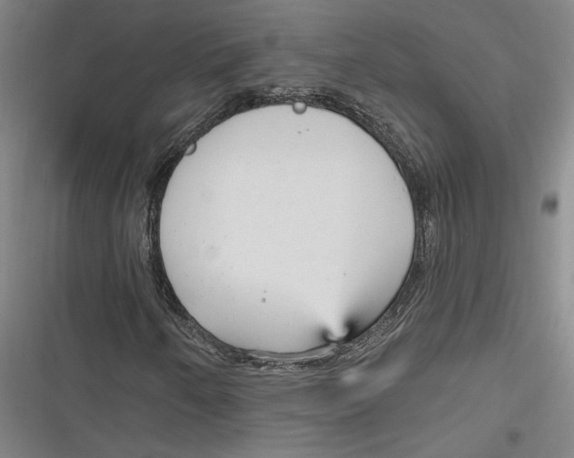 X0000116851250201001121212