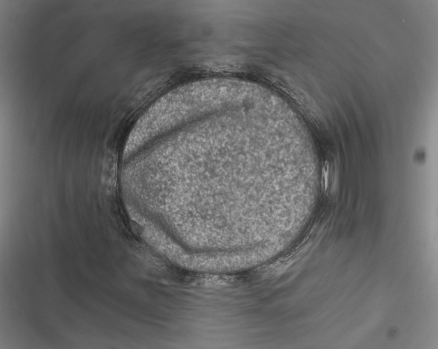 X0000116851251201001121212