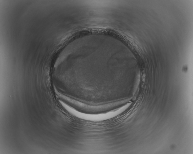 X0000116851252201001121212