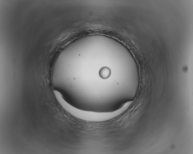 X0000116851253201001121212