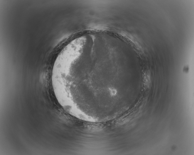 X0000116851254201001121212