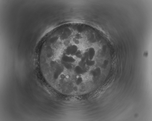 X0000116851255201001121212