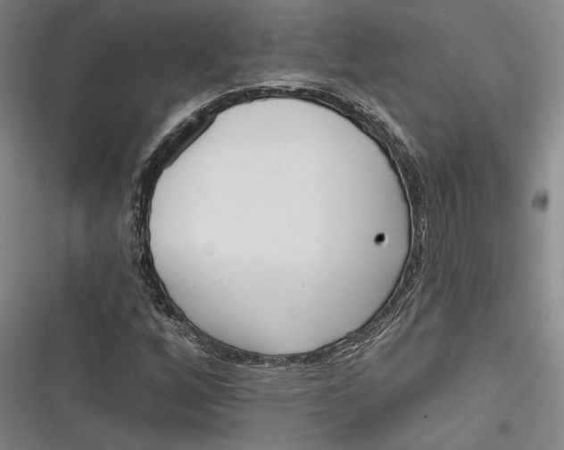 X0000116851256201001121212