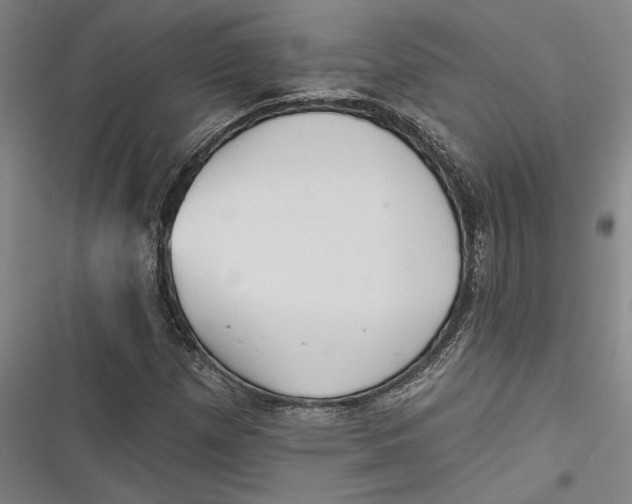 X0000116851257201001121212