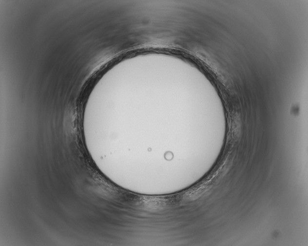 X0000116851258201001121212