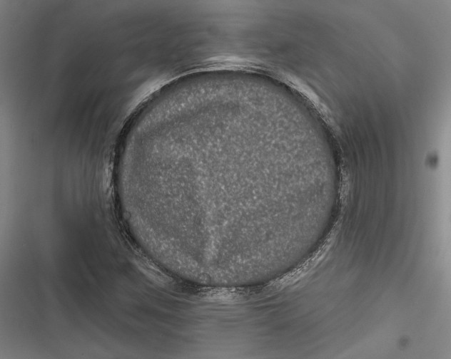 X0000116851259201001121212