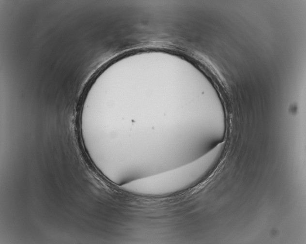 X0000116851260201001121212