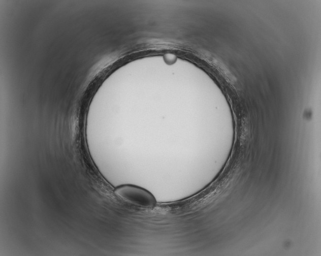 X0000116851261201001121212