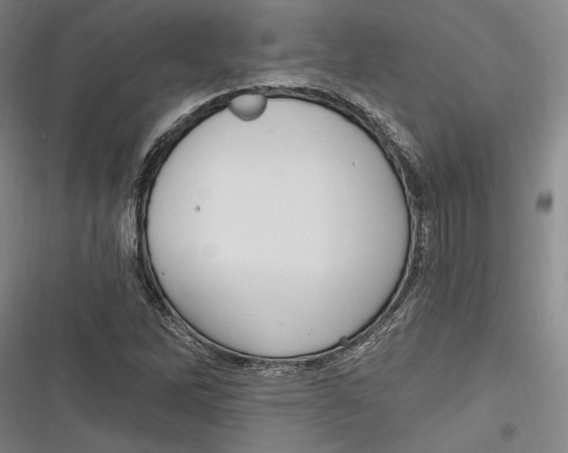 X0000116851262201001121212