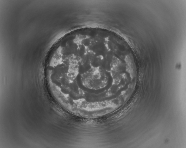 X0000116851263201001121212