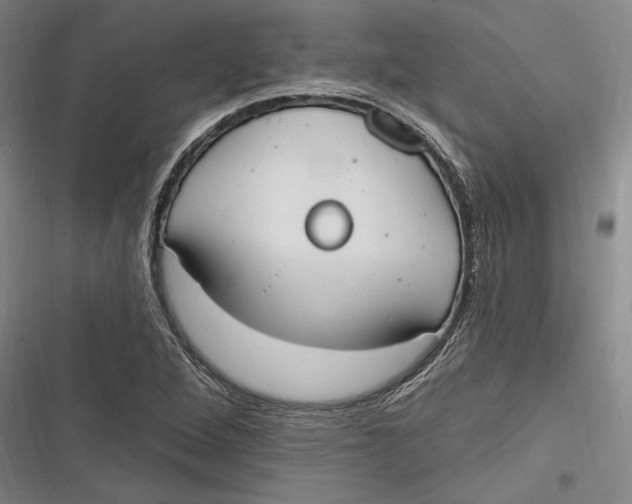 X0000116851264201001121212