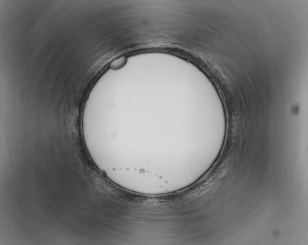 X0000116851265201001121212