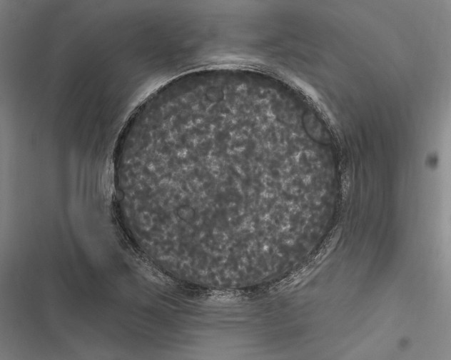 X0000116851267201001121212