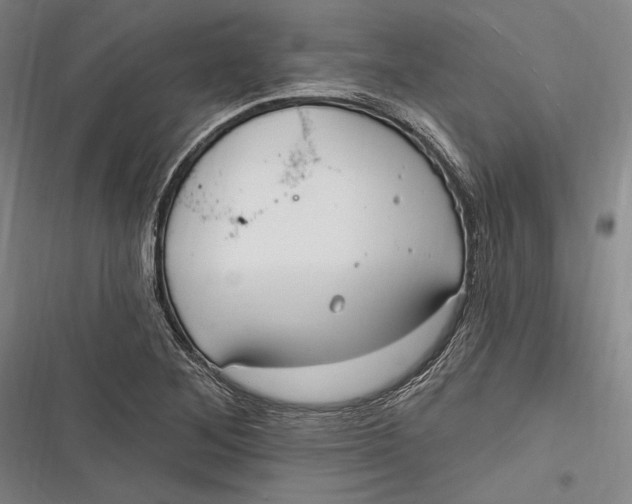 X0000116851268201001121212