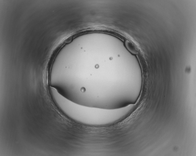 X0000116851269201001121212