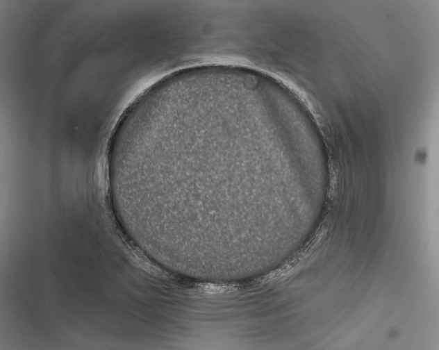 X0000116851271201001121212