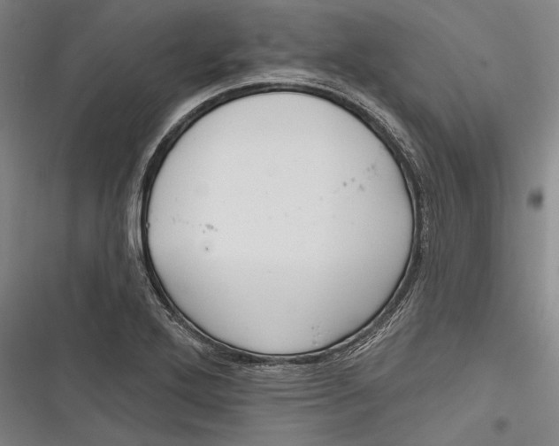 X0000116851272201001121212