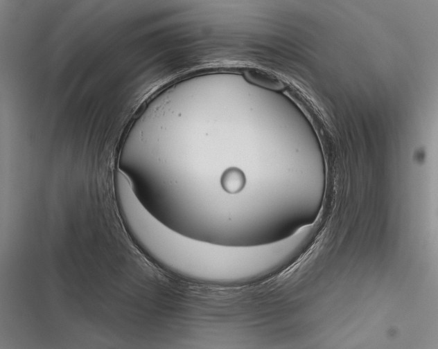 X0000116851273201001121212