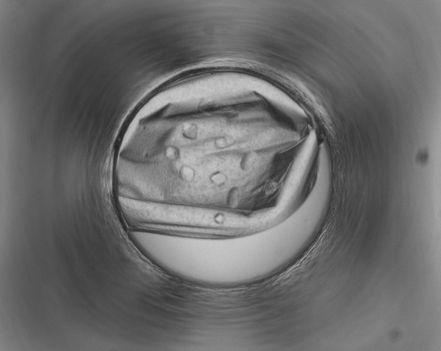 X0000116851276201001121212