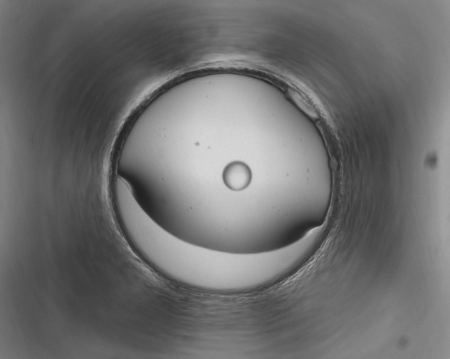 X0000116851277201001121212