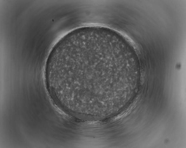 X0000116851279201001121212