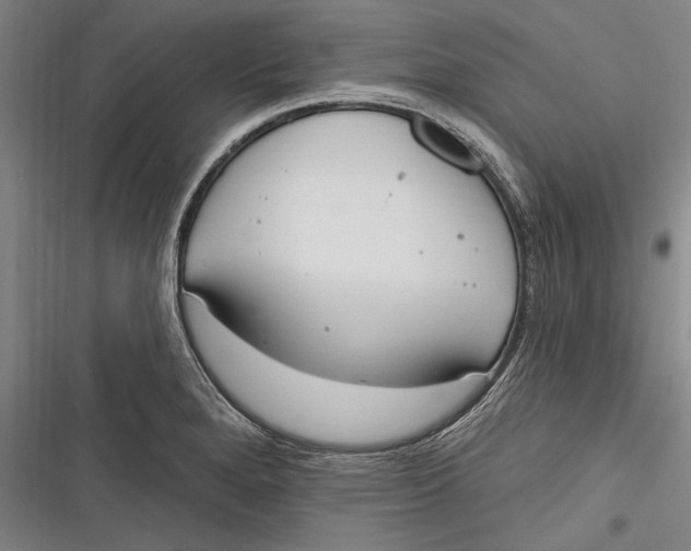 X0000116851280201001121212