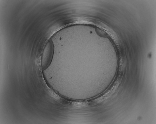 X0000116851281201001121212