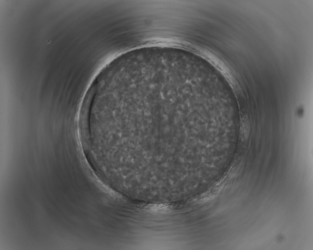 X0000116851283201001121212