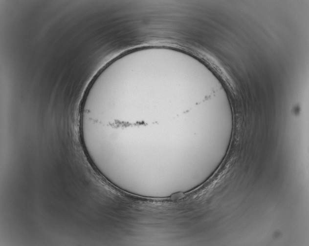 X0000116851284201001121212