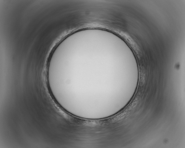 X0000116851286201001121212