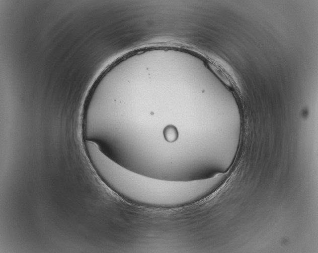 X0000116851288201001121212