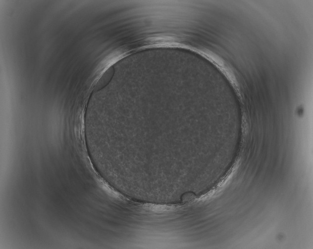 X0000116851289201001121212