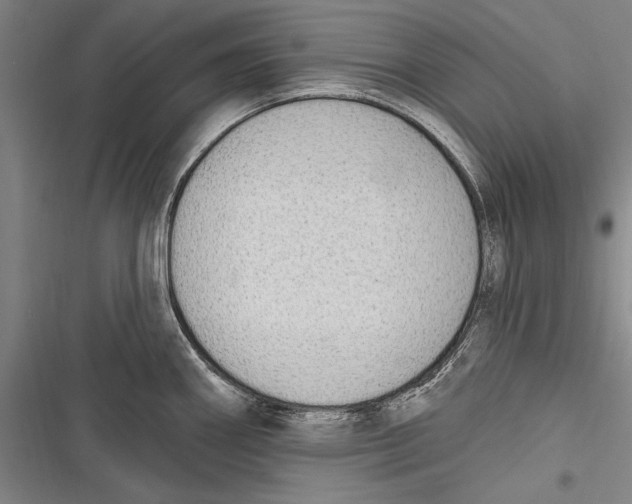 X0000116851290201001121212