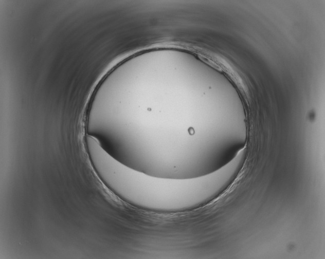 X0000116851292201001121212