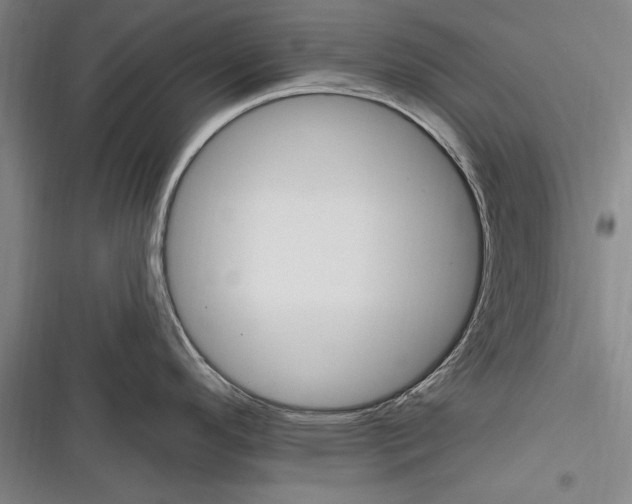 X0000116851296201001121212