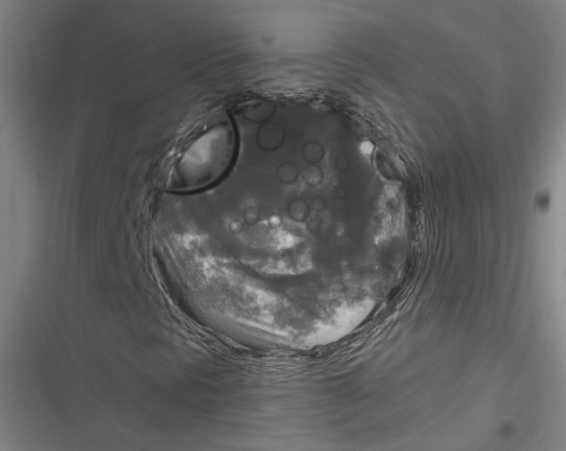 X0000116851297201001121211