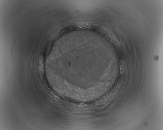 X0000116851298201001121211