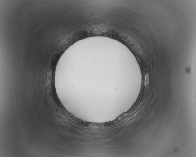 X0000116851299201001121211