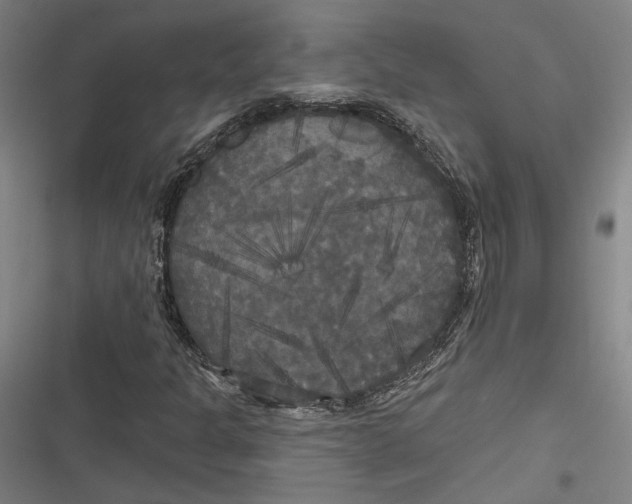 X0000116851301201001121211