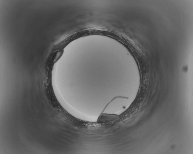 X0000116851303201001121211