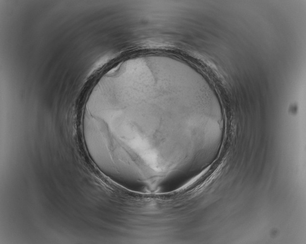 X0000116851306201001121211