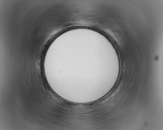 X0000116851307201001121211