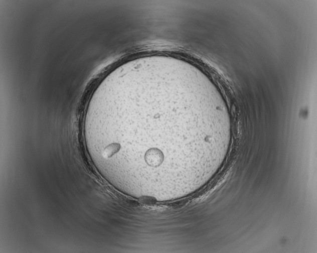 X0000116851309201001121211