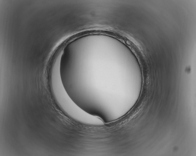 X0000116851310201001121211