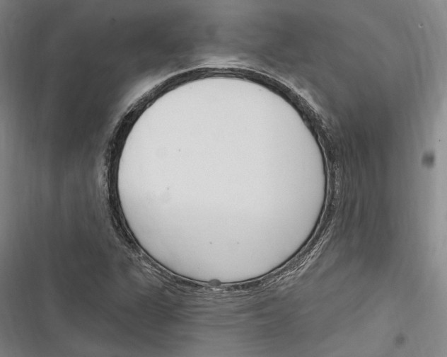 X0000116851311201001121211