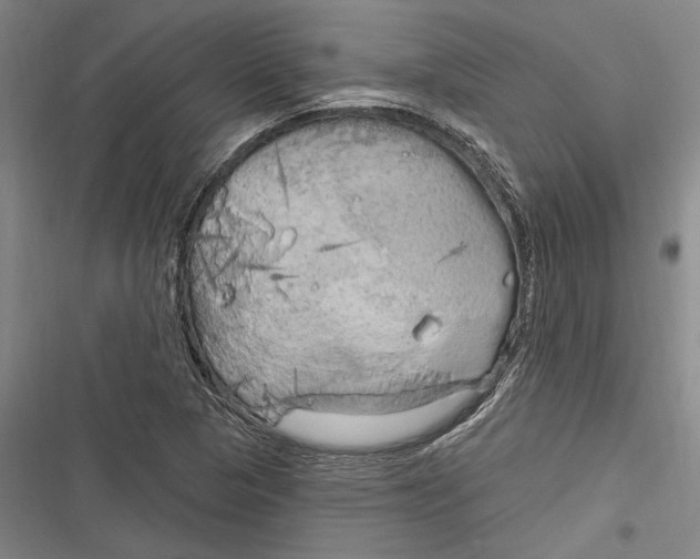 X0000116851313201001121211