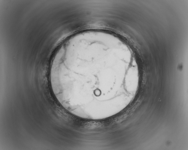 X0000116851314201001121211