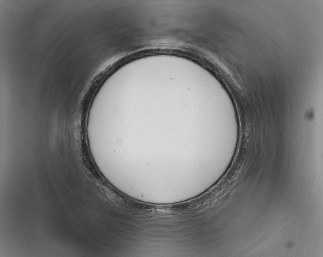 X0000116851315201001121211